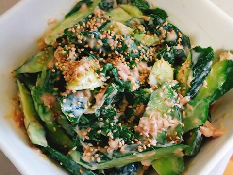 セロリの葉とキュウリのツナサラダ